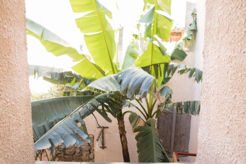 A L'Ombre Du Bananier Villa Neffies Ngoại thất bức ảnh